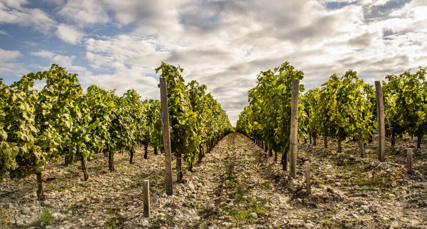 Penfolds Journey to France